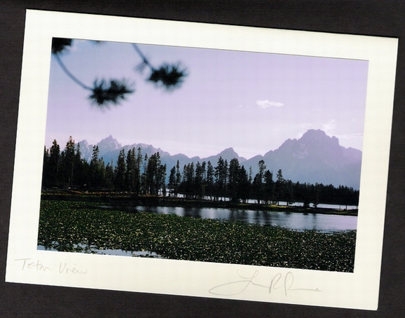 Teton Scene