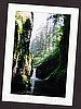 Punch Bowl Falls